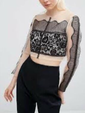 Sheer Black Lace Long-Sleeve Crop Top
